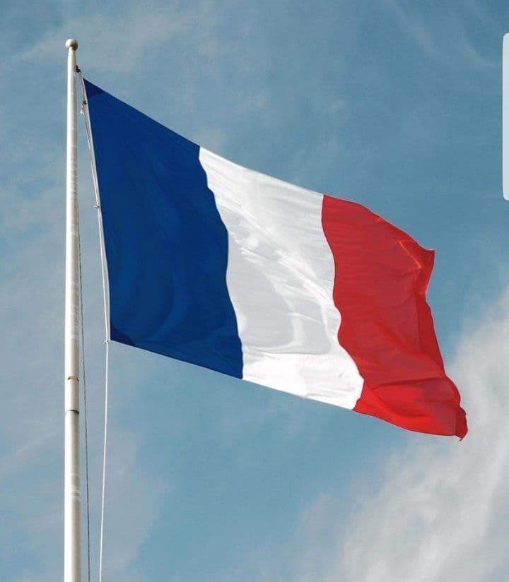 Private French Lessons